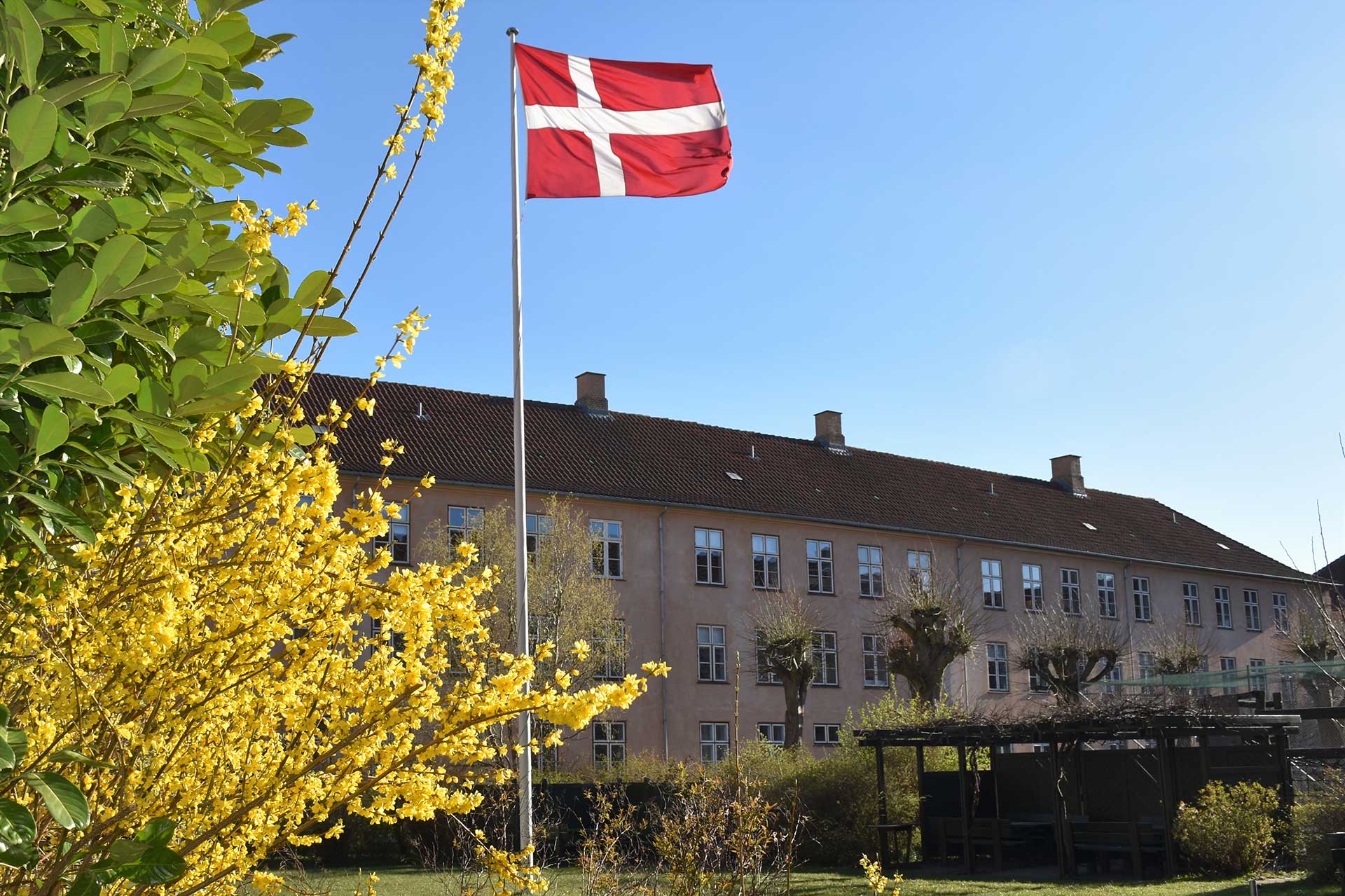 Flag i gården